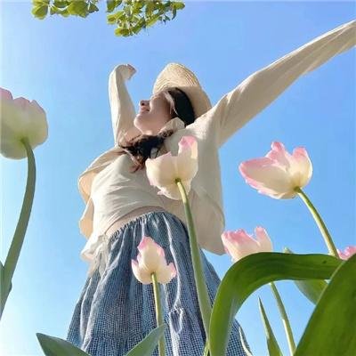 腌黄瓜先生第三季